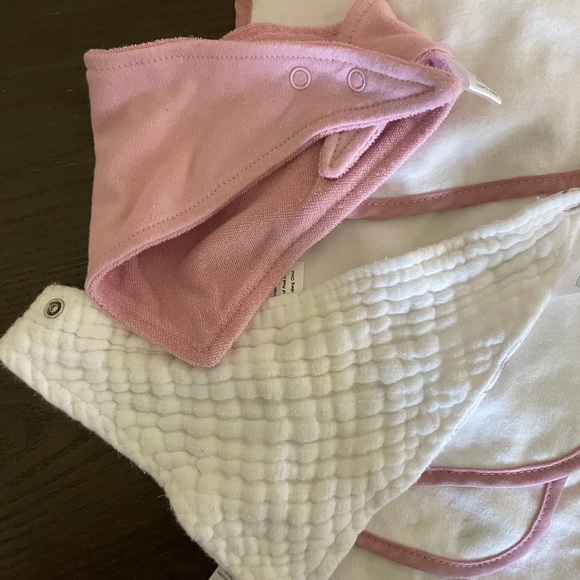 2/$10 Baby Girl Bib Bundle (7 Bibs) - Picture 9 of 13